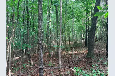 Lot 3 Schenck Farm Road, Lawndale, NC 28090 - Photo 3