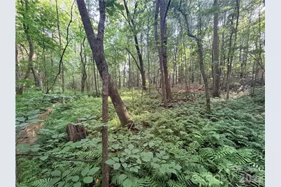 Lot 3 Schenck Farm Road, Lawndale, NC 28090 - Photo 13