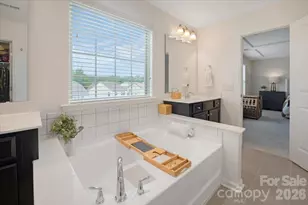 17534 Austins Creek Dr, Charlotte, NC 28278 - Photo 37