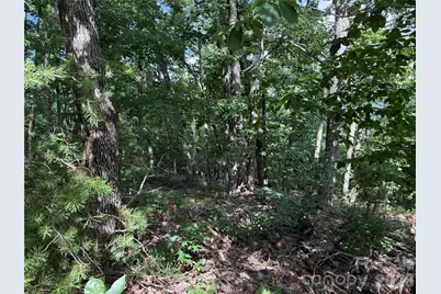 0 Arbra Mountain Way #54, Bostic, NC 28018 - Photo 7