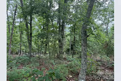 0 Arbra Mountain Way #54, Bostic, NC 28018 - Photo 3