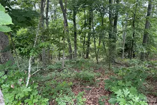 0 Arbra Mountain Way, Bostic, NC 28018 - Photo 1