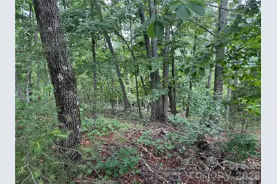 0 Arbra Mountain Way #54, Bostic, NC 28018 - Photo 5