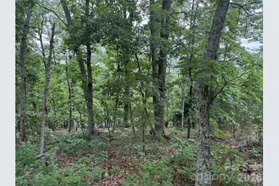 0 Arbra Mountain Way #54, Bostic, NC 28018 - Photo 3