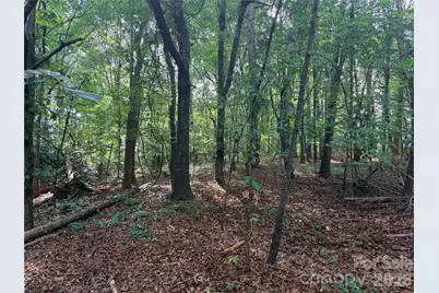 Lot 1 Schenck Farm Road, Lawndale, NC 28090 - Photo 11