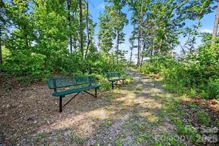 115 Vaquaro Dr, Mooresville, NC 28115 - Photo 43