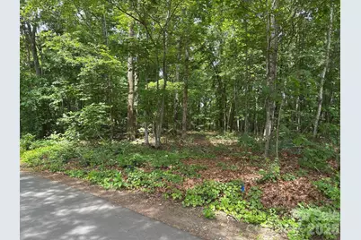 176 Dogwood Trail Lane, Indian Land, SC 29707 - Photo 11