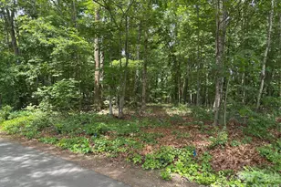 176 Dogwood Trail Ln, Indian Land, SC 29707 - Photo 11