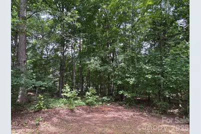 176 Dogwood Trail Lane, Indian Land, SC 29707 - Photo 13