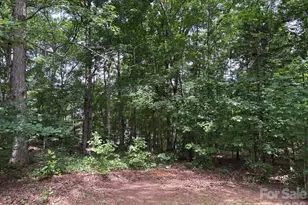 176 Dogwood Trail Ln, Indian Land, SC 29707 - Photo 13