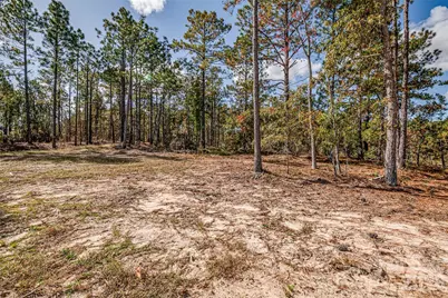 8684 Teals Mill Road, Cheraw, SC 29520 - Photo 21