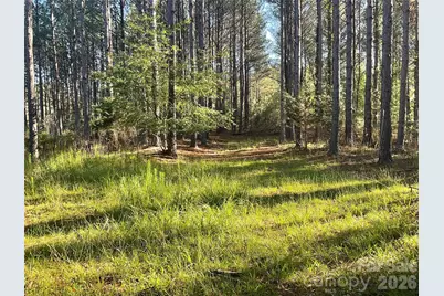 105 Whispering Pines Lane, Mooresboro, NC 28114 - Photo 5