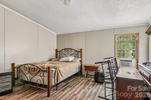 19 Dot St, Clyde, NC 28721 - Photo 21