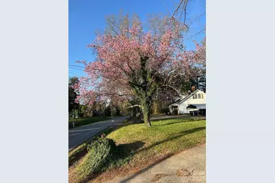 134 Langtree Road, Mooresville, NC 28117 - Photo 29