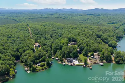 378 Dobson View Drive, Nebo, NC 28761 - Photo 3