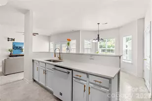 11148 Heritage Green Dr, Cornelius, NC 28031 - Photo 13