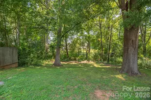 404 Keswick Ave, Charlotte, NC 28206 - Photo 35