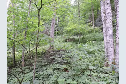 963 Melton Branch Road, Bakersville, NC 28705 - Photo 45