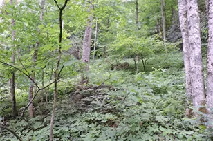 963 Melton Branch Rd, Bakersville, NC 28705 - Photo 45