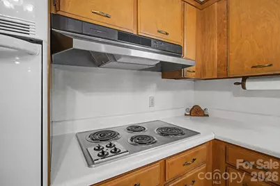 788 Alexander Road, Alexander, NC 28701 - Photo 33