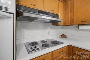 788 Alexander Rd, Alexander, NC 28701 - Photo 33