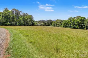 788 Alexander Rd, Alexander, NC 28701 - Photo 9