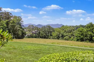 788 Alexander Rd, Alexander, NC 28701 - Photo 15