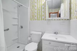 788 Alexander Rd, Alexander, NC 28701 - Photo 41