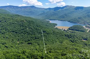 22 Great Aspen Way, Black Mountain, NC 28711 - Photo 3