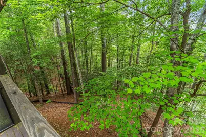 130 Settlement Ridge Drive #48, Marion, NC 28752 - Photo 21