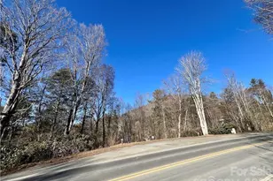 N/A 321 Hwy N, Sugar Grove, NC 28679 - Photo 1