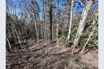 N/A 321 Highway N, Sugar Grove, NC 28679 - Photo 3