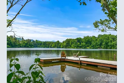 907 Kells Blue Court, Candler, NC 28715 - Photo 45