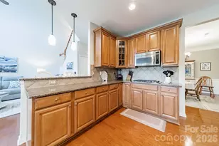 1064 Silver Gull Dr, Tega Cay, SC 29708 - Photo 19