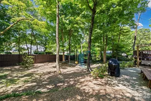 10924 Pampas Cir, Charlotte, NC 28226 - Photo 33