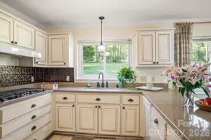 1235 Ashby Ln, Hendersonville, NC 28791 - Photo 25