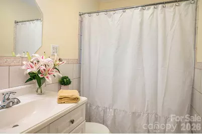 1235 Ashby Lane, Hendersonville, NC 28791 - Photo 29