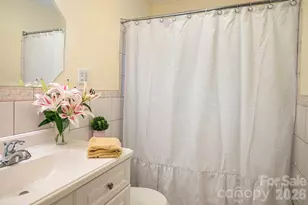 1235 Ashby Ln, Hendersonville, NC 28791 - Photo 29