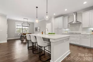 3826 Dewitt Ln, Charlotte, NC 28217 - Photo 11