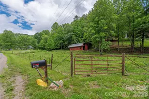 262 Gibson Branch Rd, Clyde, NC 28721 - Photo 21