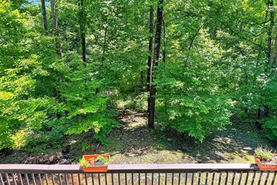1828 McKenzie Way S, Old Fort, NC 28762 - Photo 5