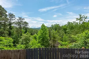 25 Inglescott Way, Alexander, NC 28701 - Photo 33