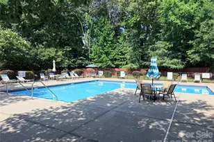 615 Colbert Way, Fort Mill, SC 29715 - Photo 45