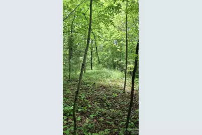 491 Signal Ridge Road #25, Sylva, NC 28779 - Photo 13