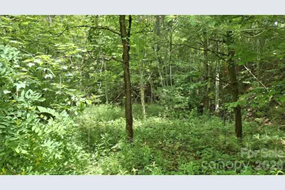 491 Signal Ridge Road #25, Sylva, NC 28779 - Photo 7