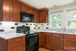 48 Hickory Tree Rd, Asheville, NC 28805 - Photo 23