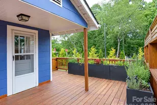 48 Hickory Tree Rd, Asheville, NC 28805 - Photo 37