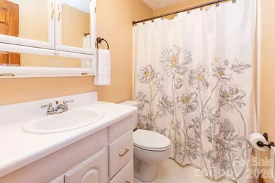 168 Blossom Ridge, Leicester, NC 28748 - Photo 19