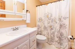168 Blossom Ridge, Leicester, NC 28748 - Photo 19