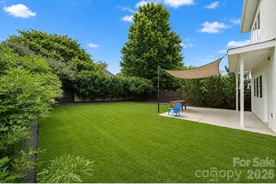 1243 Realta Drive, Charlotte, NC 28211 - Photo 3